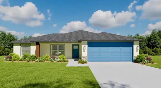 New construction Single-Family house 110 Guava Pass, Ocklawaha, FL 32179 - image
