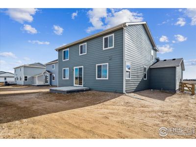 New construction Single-Family house 918 Hummocky Wy, Windsor, CO 80550 Avon- photo 2 2