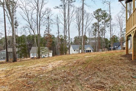 New construction Single-Family house 129 Buckaroo Dr, Louisburg, NC 27549 - image 19