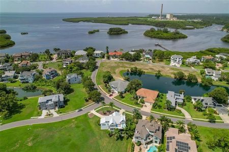 New construction Single-Family house 2105 Sandpiper Pointe Court, Tarpon Springs, FL 34689 - photo 38 38