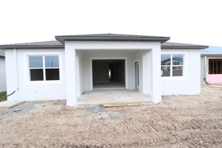 New construction Single-Family house 3150 Adams Cross Dr, Zephyrhills, FL 33540 Miranda- photo 64 64