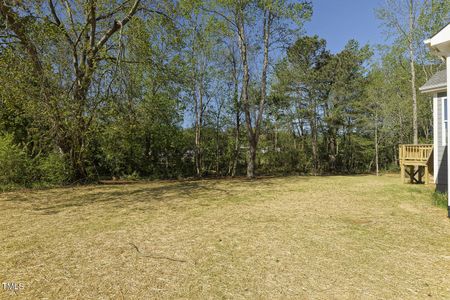 New construction Single-Family house 1609 Golden Sundew Dr, Unit 160, Willow Spring, NC 27592 null- photo 45 45