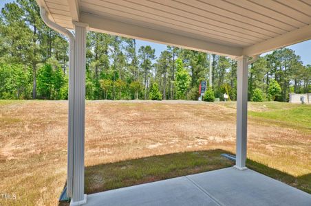 New construction Single-Family house 151 Pretty Run Branch Ln, Wendell, NC 27591 null- photo 33 33