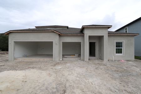 New construction Single-Family house 9603 Crescent Ray Dr, Wesley Chapel, FL 33545 Barcello Bonus- photo 4 4