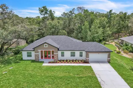 New construction Single-Family house 1608 Hickory Ridge Dr, Fruitland Park, FL 34731 - image