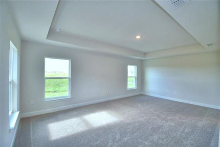 New construction Single-Family house 2359 Friendly Confines Loop, Davenport, FL 33837 - photo 29 29