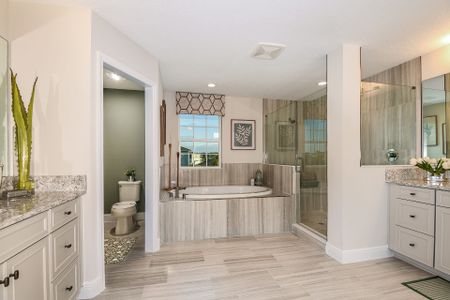 New construction Single-Family house 5335 Wolf Creek Dr, Apollo Beach, FL 33572 Virginia Park- photo 8 8