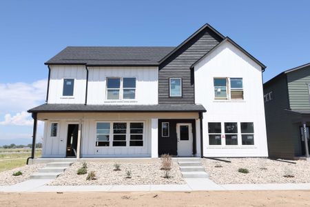 New construction Single-Family house 957 Trumpet Ln, Windsor, CO 80550 plan Willow - image