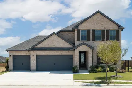 New construction Single-Family house 3926 Lupine Trl, Midlothian, TX 76065 - image
