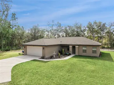 New construction Single-Family house 33134 Easter Dr, Webster, FL 33597 - image