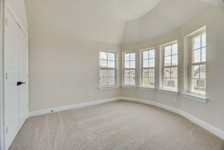 New construction Single-Family house 3170 Sunfish St, Prosper, TX 75078 Grand Lantana- photo 32 32