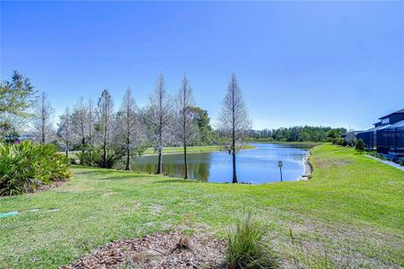 New construction Townhouse house 1291 Colt Creek Pl, Wesley Chapel, FL 33543 null- photo 82 82