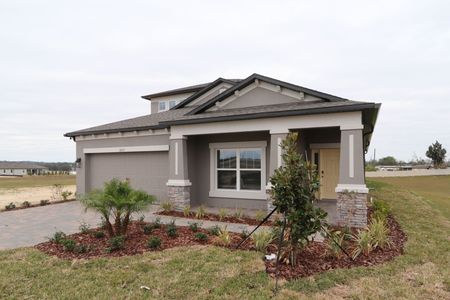 New construction Single-Family house 38357 Palomino Dr, Dade City, FL 33525 Picasso Bonus- photo 76 76