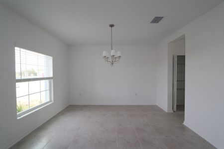 New construction Single-Family house 38350 Tobiano Loop, Dade City, FL 33525 Cabo- photo 115 115