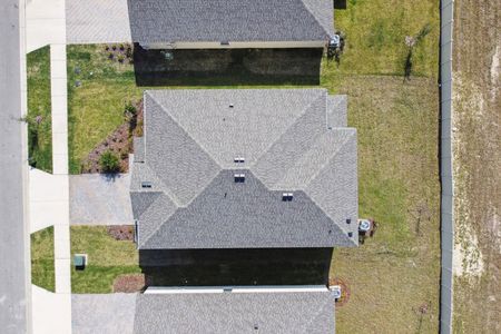 New construction Single-Family house 12219 Hilltop Farms Dr, Dade City, FL 33525 Malibu- photo 290 290