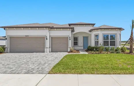 New construction Single-Family house 16694 Harvest Leaf Rd, Spring Hill, FL 34610 plan Stellar - image