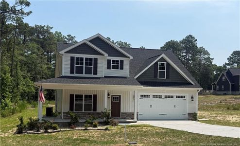 New construction Single-Family house 505 Chason Rd, Lumber Bridge, NC 28357 - image