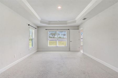 New construction Single-Family house 10715 Sw 41St Ave, Ocala, FL 34476 - image 16