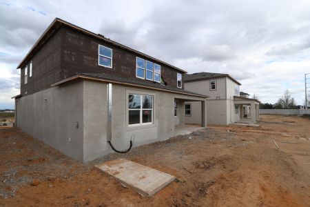 New construction Single-Family house 38326 Tobiano Loop, Dade City, FL 33525 Casanova- photo 68 68