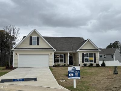 New construction Single-Family house 66 Flannel Ct, Unit 250, Benson, NC 27504 - image
