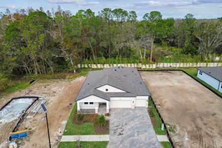 New construction Single-Family house 20219 Oriana Loop, Land O' Lakes, FL 34638 Corina  III- photo 137 137