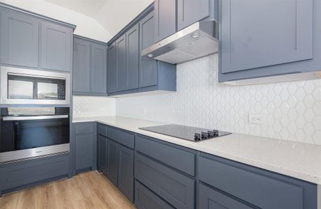 New construction Single-Family house 6048 Mango Dr, Sanger, TX 76266 - image 9