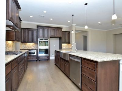 New construction Single-Family house 209 Bold Sundown, Liberty Hill, TX 78642 plan Catalina - image 7