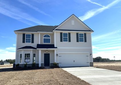 New construction Single-Family house 509 Doctor's Creek Rd, Unit 277, Ludowici, GA 31316 plan The Chatman - image