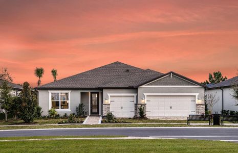 New construction Single-Family house 6019 Sw 86Th Cir, Ocala, FL 34481 Stardom- photo 0