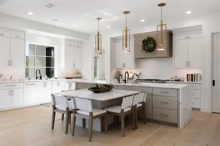 New construction Single-Family house 17213 Morning Grove Ln, Austin, TX 78738 - image 5