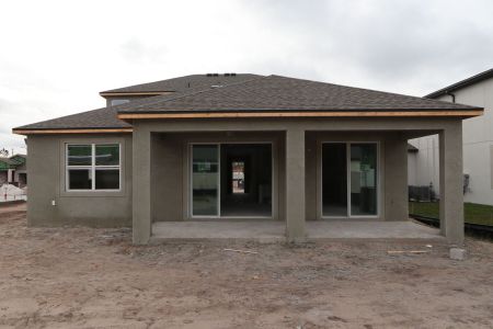 New construction Single-Family house 20050 Oriana Loop, Land O' Lakes, FL 34638 Santa Monica- photo 75 75