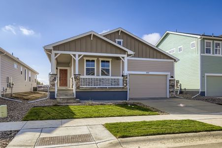 New construction Single-Family house 1833 Cord Grass Dr, Fort Collins, CO 80524 plan Newport - image