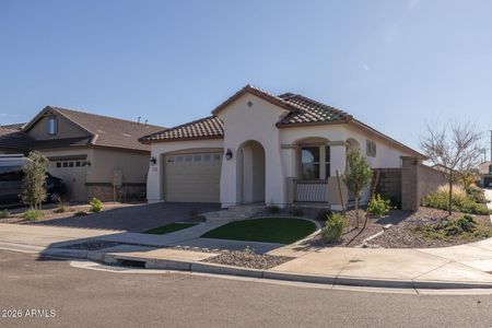 New construction Single-Family house 22429 E Cattle Dr, Queen Creek, AZ 85142 plan Alpine - image