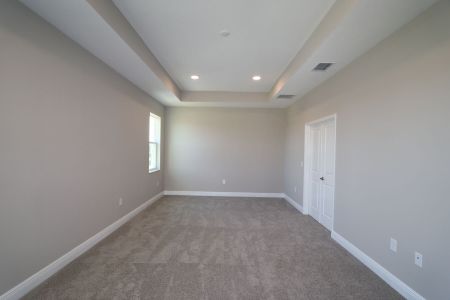 New construction Single-Family house 5762 Jeffries Way, Wesley Chapel, FL 33545 Newport II Bonus- photo 151 151