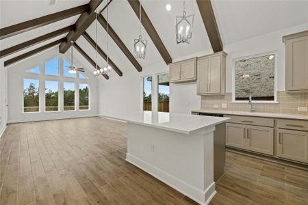 New construction Single-Family house 112 Emerald Grove Dr, Georgetown, TX 78633 Haven X- photo 7 7