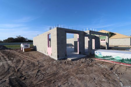 New construction Single-Family house 3306 Fall Harvest Dr, Zephyrhills, FL 33540 Alenza- photo 9 9