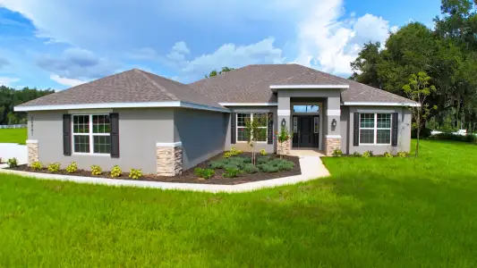 New construction Single-Family house 36861 Hidden View Cir, Dade City, FL 33523 plan 2330 - image