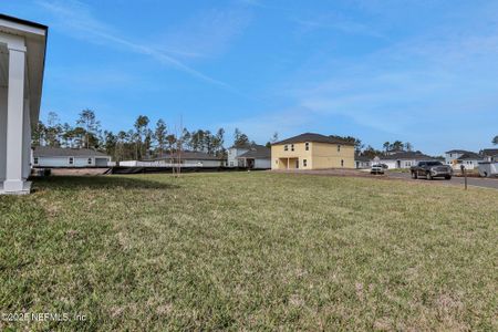 New construction Single-Family house 22 Serrao Ct, St. Augustine, FL 32095 Emory II- photo 44 44