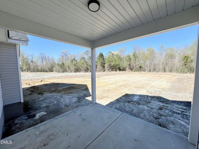 New construction Single-Family house 113 Sagewood Dr, Dudley, NC 28333 - image