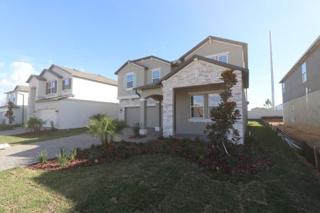 New construction Single-Family house 38326 Tobiano Loop, Dade City, FL 33525 Casanova- photo 124 124