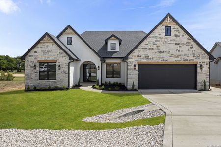 New construction Single-Family house 117 Hiram Cook, Blanco, TX 78606 - image