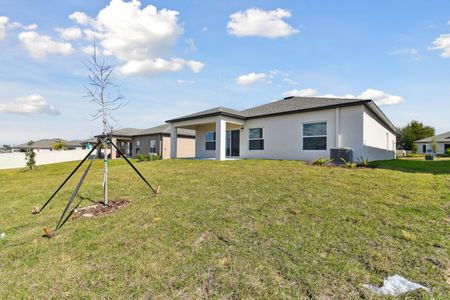 New construction Single-Family house 12227 Hilltop Farms Dr, Dade City, FL 33525 Sentinel- photo 152 152