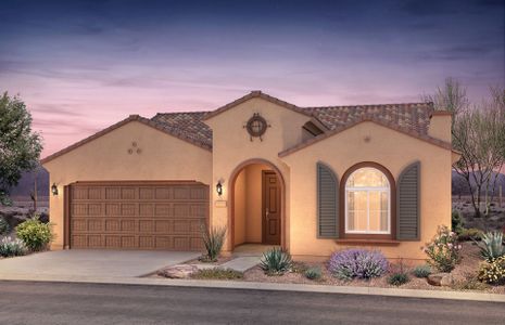 New construction Single-Family house 3855 N Sun City Blvd, Florence, AZ 85132 plan Preserve - image 2