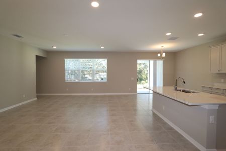 New construction Single-Family house 9603 Crescent Ray Dr, Wesley Chapel, FL 33545 Barcello Bonus- photo 87 87