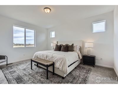 New construction Single-Family house 1863 Baltusrol Dr, Fort Collins, CO 80524 plan Rainier - image 18