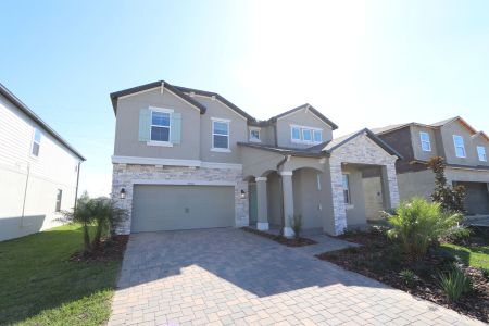 New construction Single-Family house 38326 Tobiano Loop, Dade City, FL 33525 Casanova- photo 130 130