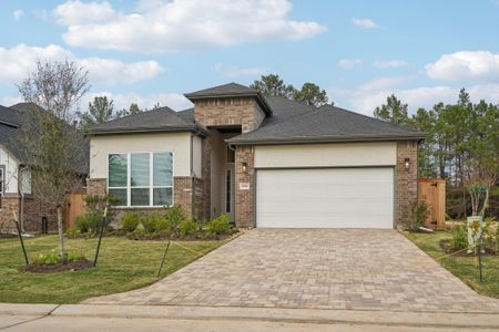 New construction Single-Family house 26014 S Outrider Banks, Montgomery, TX 77316 plan Hampton - image