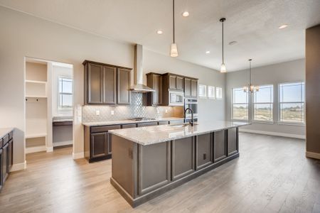 New construction Single-Family house 8405 S Winnipeg Ct, Aurora, CO 80016 null- photo 11 11