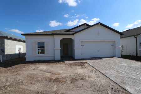 New construction Single-Family house 3150 Adams Cross Dr, Zephyrhills, FL 33540 Miranda- photo 81 81