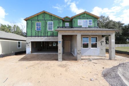 New construction Single-Family house 11984 Hilltop Farms Dr, Dade City, FL 33525 Casanova- photo 37 37